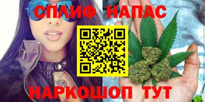 гидра Волгодонск