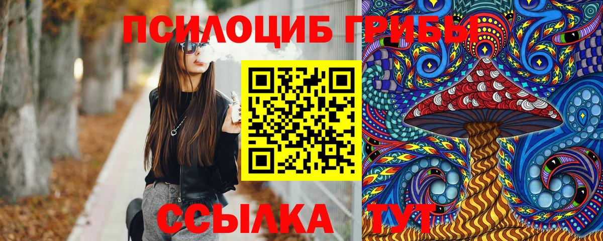 Галлюциногенные грибы мицелий  Вход с VPN  Елец 