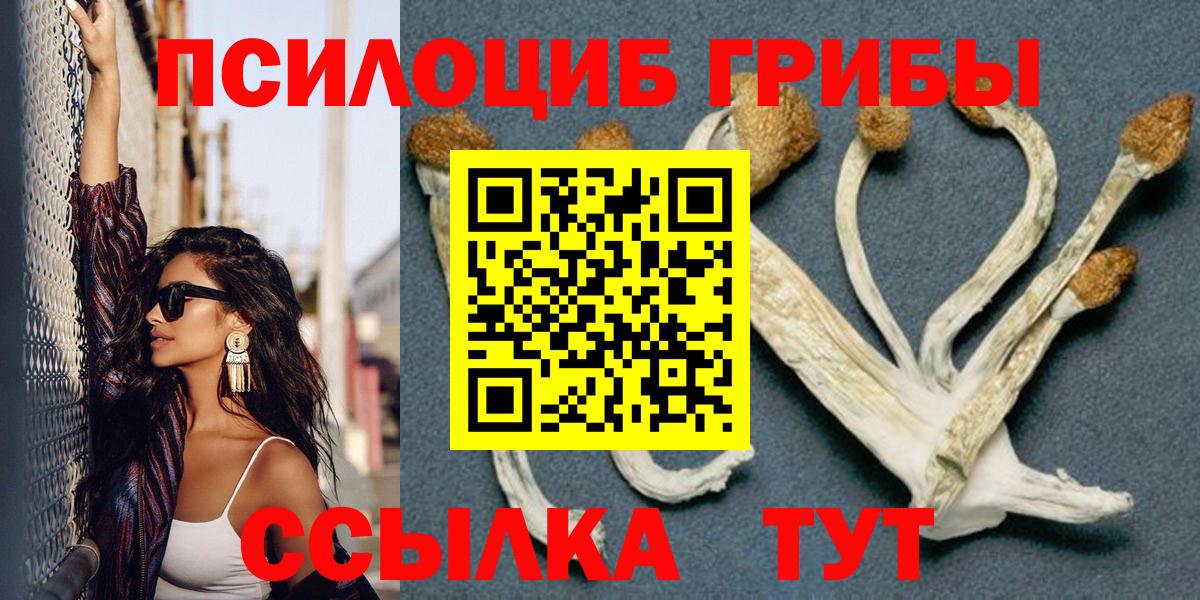 Галлюциногенные грибы Cubensis Елец